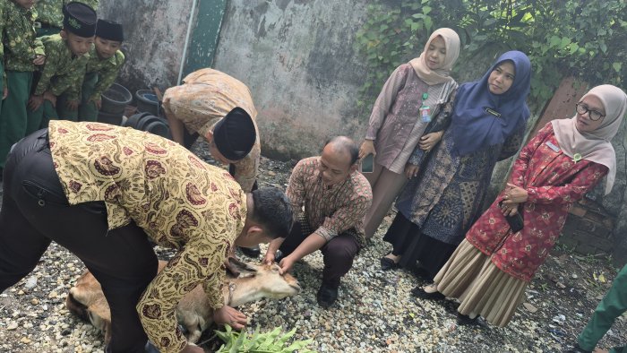 Syukuran Potong Kambing di MIN 4 Sarolangun Atas Kelulusan PPPK dan CPNS